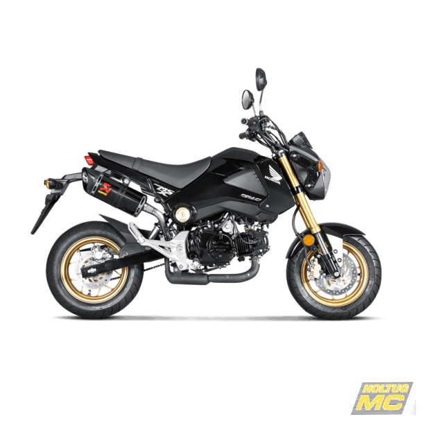 Akrapovic Honda MSX125/Grom 13-15 Slip-On Line hexagonal lyddmper i carbon (ECE godkendt)