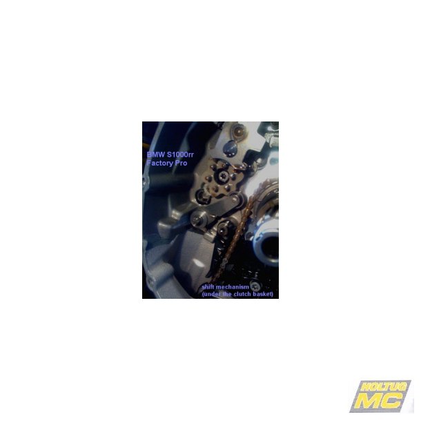Factory BMW S1000RR 2010->, Shift Spring Kit