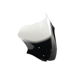 Kawasaki Z900 20-> Racing kbeglas (NRN-glas)