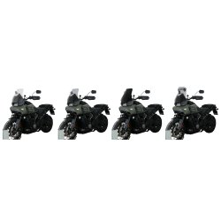 HD Pan American 1250 Special MRA Spoiler k�beglas (SP-glas)