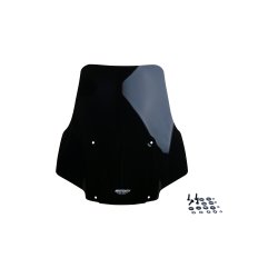 HD Pan American 1250 Special MRA Spoiler k�beglas (SP-glas)