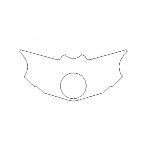 Fibre-Lyte Kawasaki ZXR750 93-95 forgaffelbro dksel i carbon